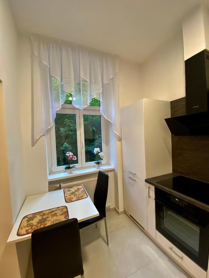 Top Class Apartments In Carlsbad カルロヴィ・ヴァリ エクステリア 写真